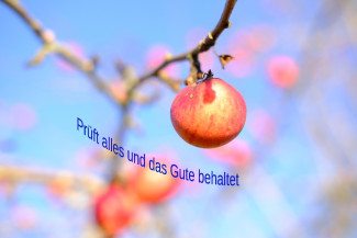 Prüft alles - Jahreslosung mit Apfel